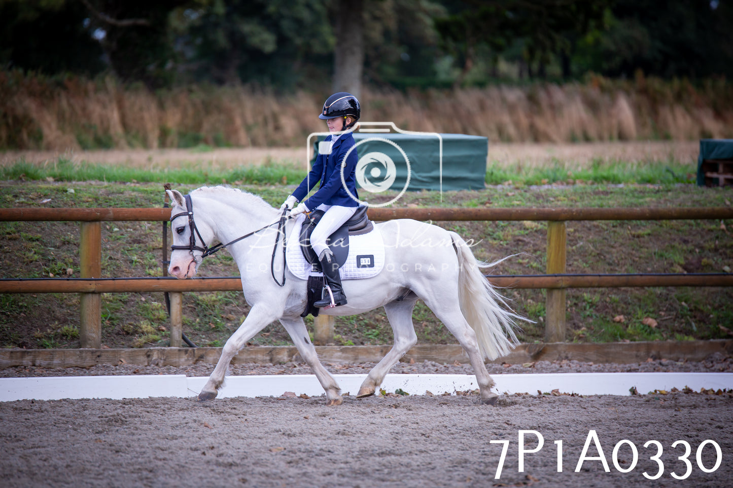JHOYS 2025 - Dressage - 13th September