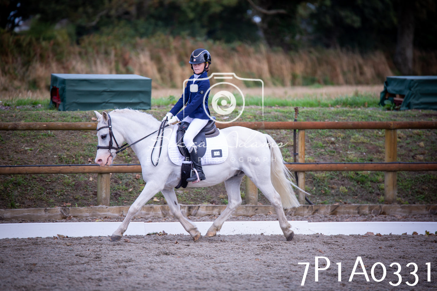 JHOYS 2025 - Dressage - 13th September
