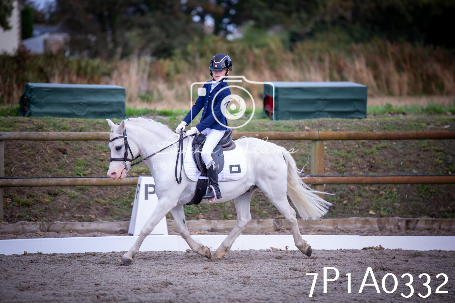 JHOYS 2025 - Dressage - 13th September