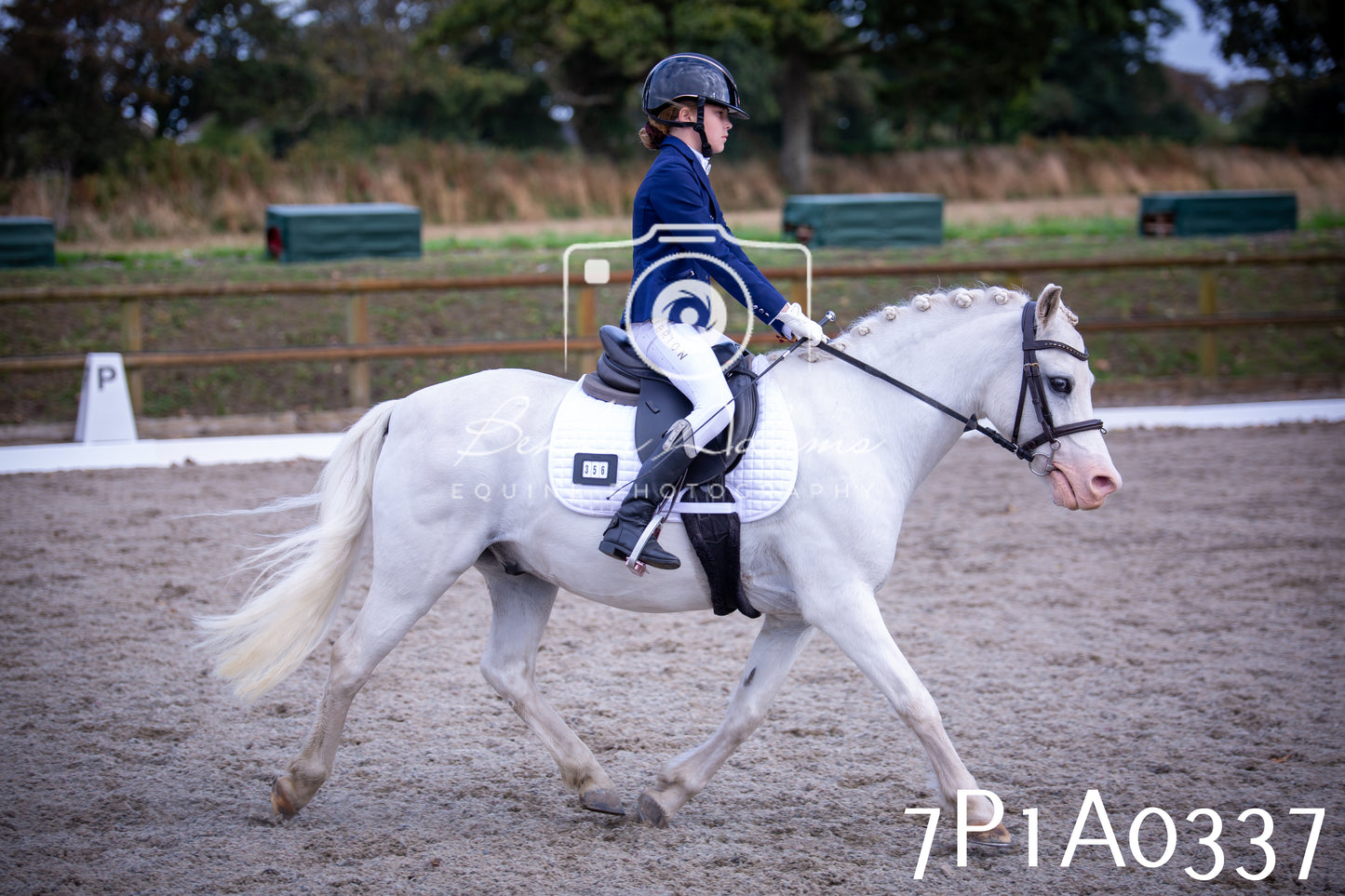 JHOYS 2025 - Dressage - 13th September
