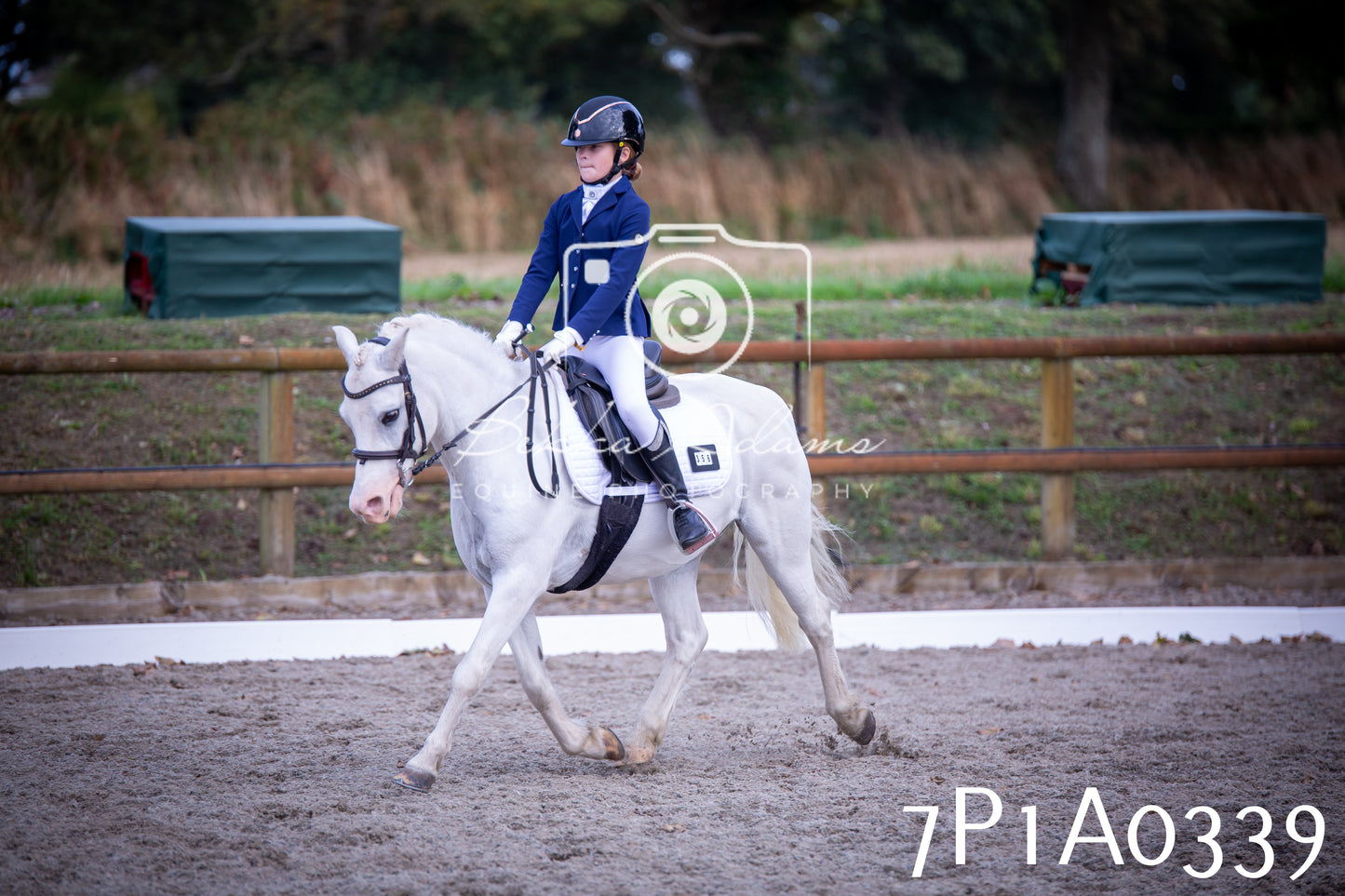 JHOYS 2025 - Dressage - 13th September
