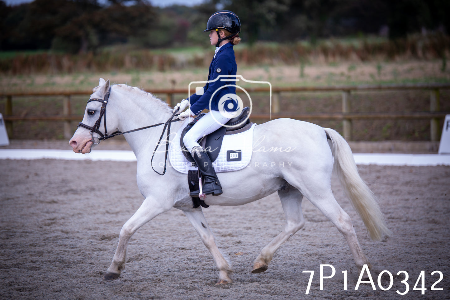 JHOYS 2025 - Dressage - 13th September