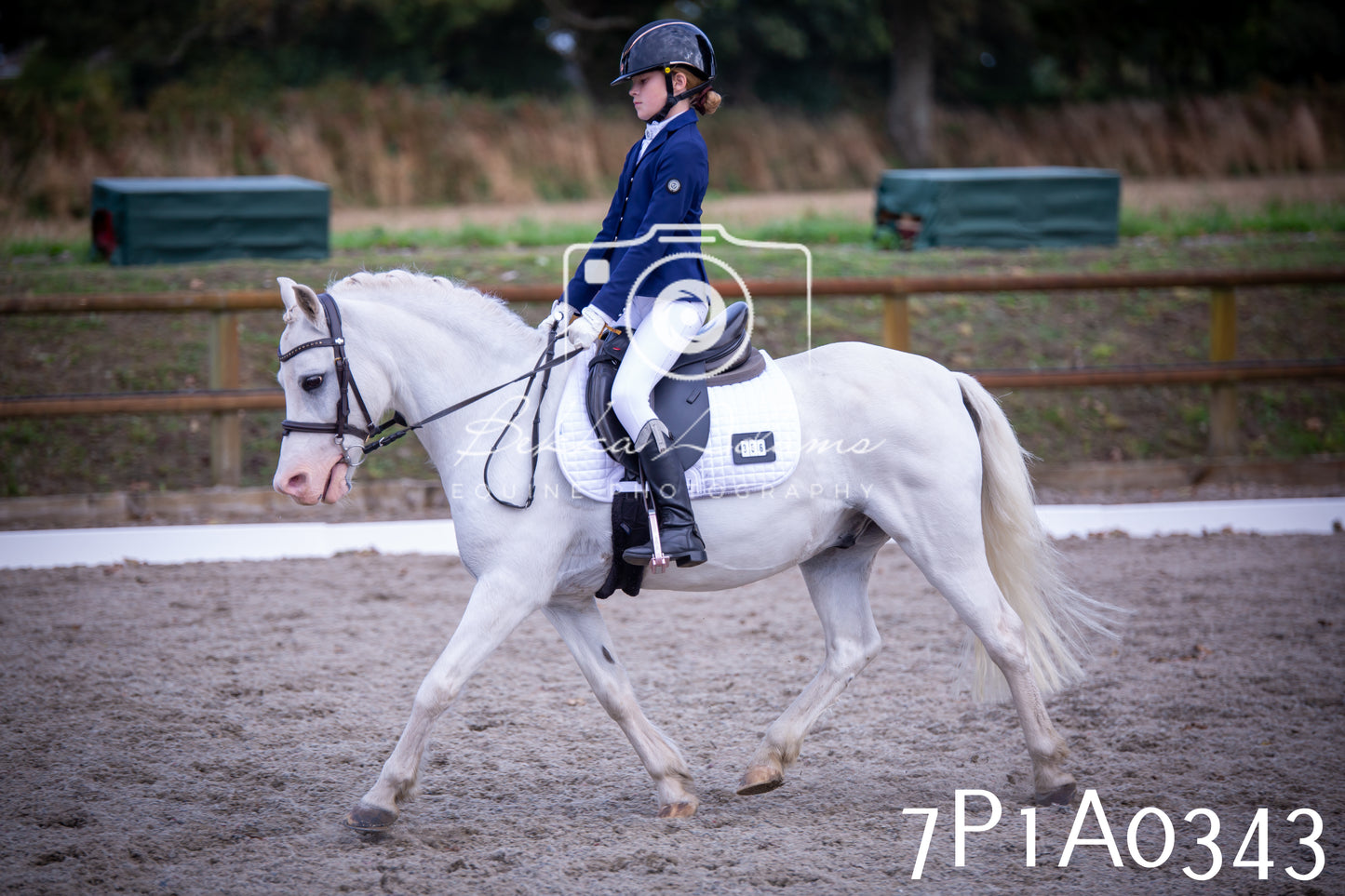 JHOYS 2025 - Dressage - 13th September