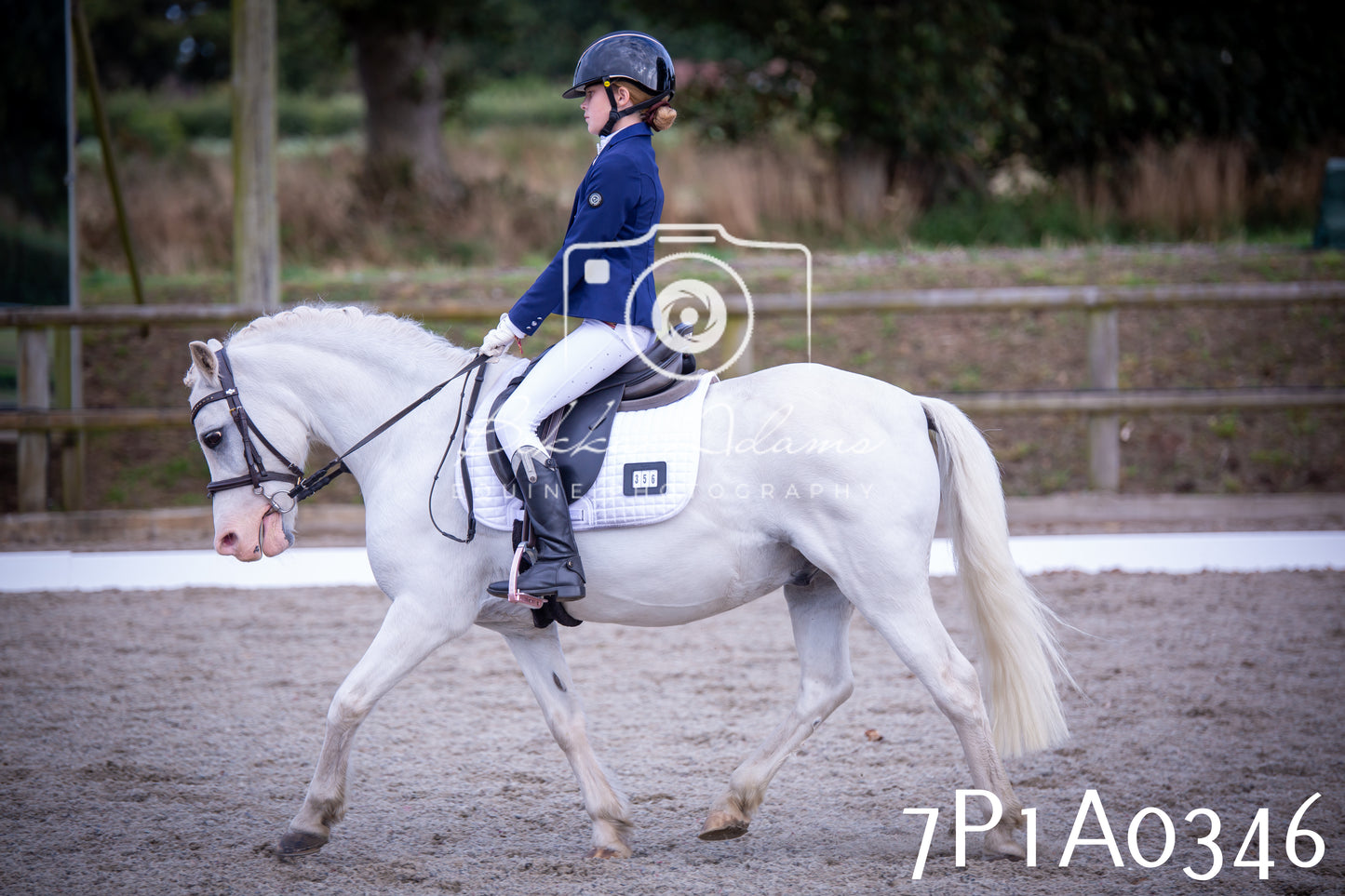 JHOYS 2025 - Dressage - 13th September