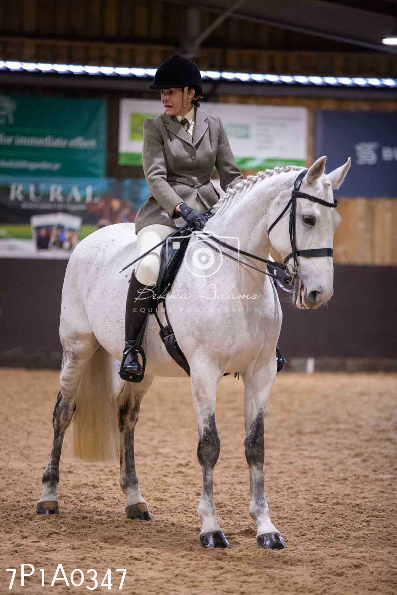 Home Farm Spring Show - Ridden Showing 24th March 2024 - Part 1