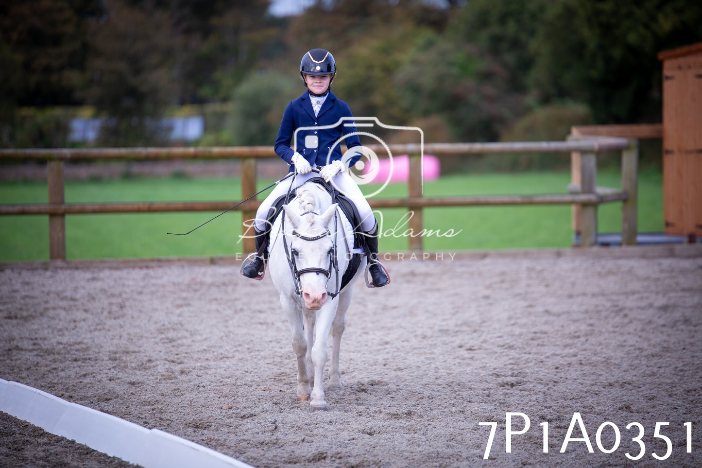 JHOYS 2025 - Dressage - 13th September