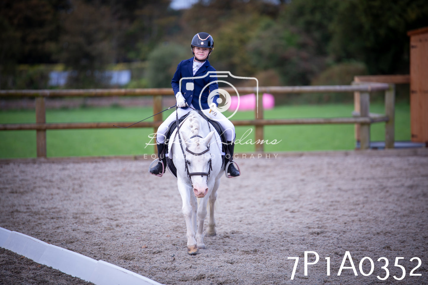 JHOYS 2025 - Dressage - 13th September