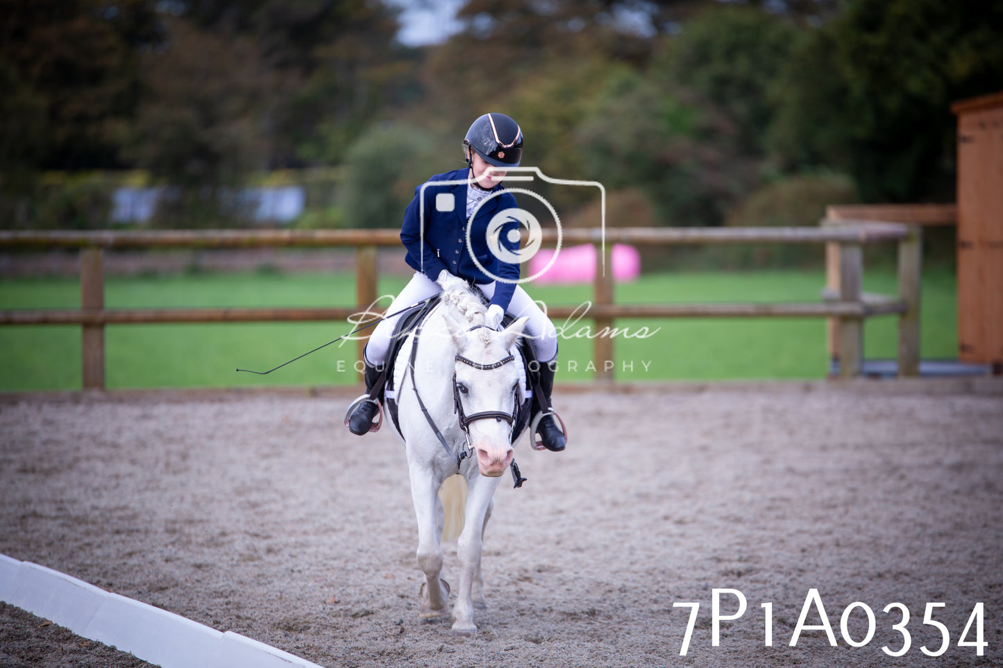 JHOYS 2025 - Dressage - 13th September