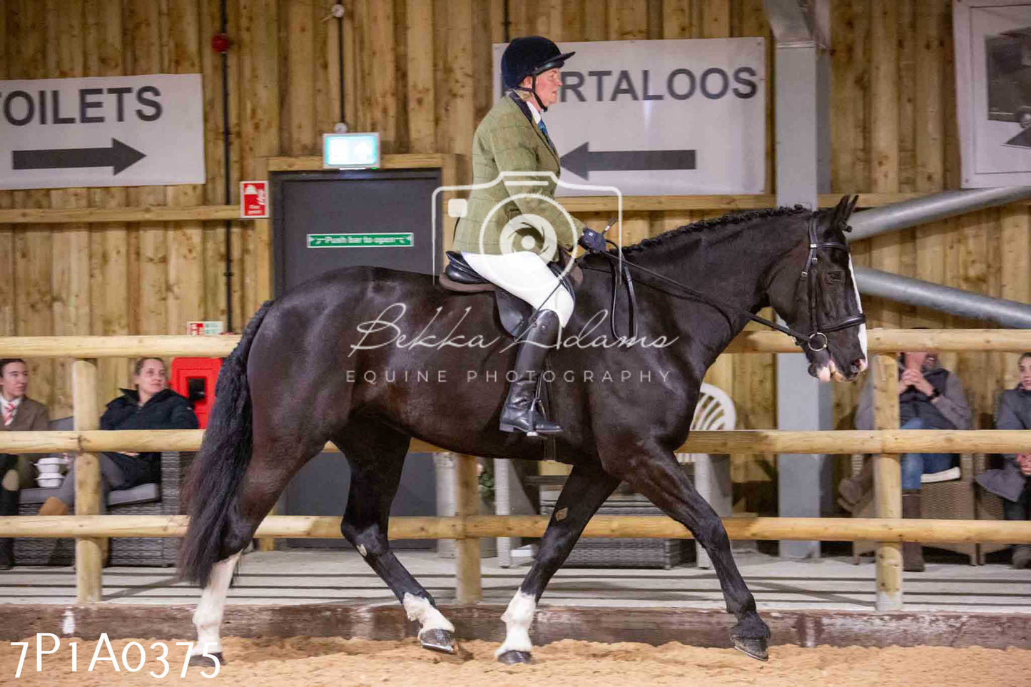 Home Farm Spring Show - Ridden Showing 24th March 2024 - Part 1