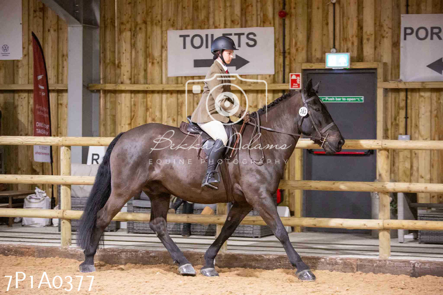 Home Farm Spring Show - Ridden Showing 24th March 2024 - Part 1