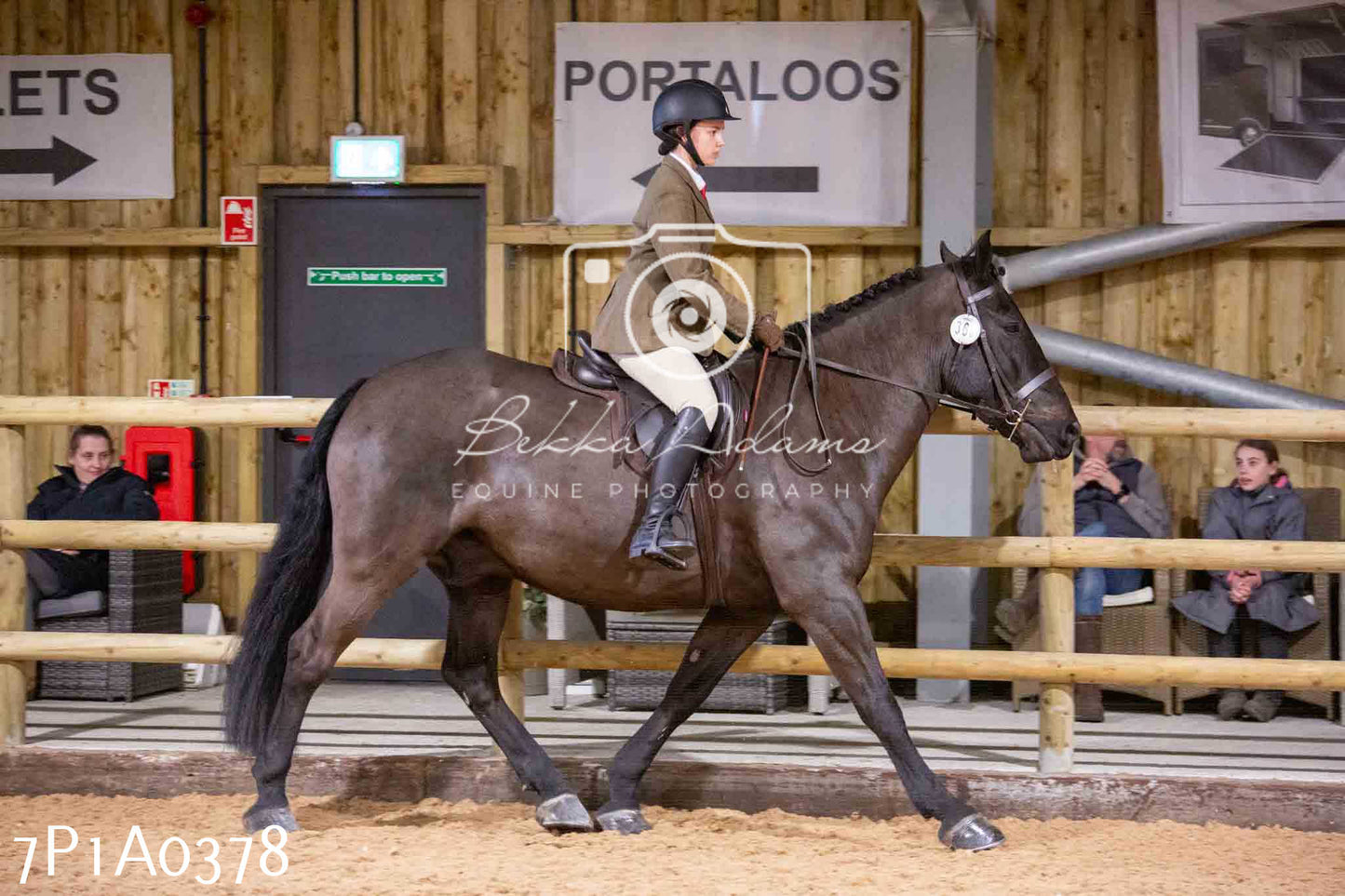 Home Farm Spring Show - Ridden Showing 24th March 2024 - Part 1