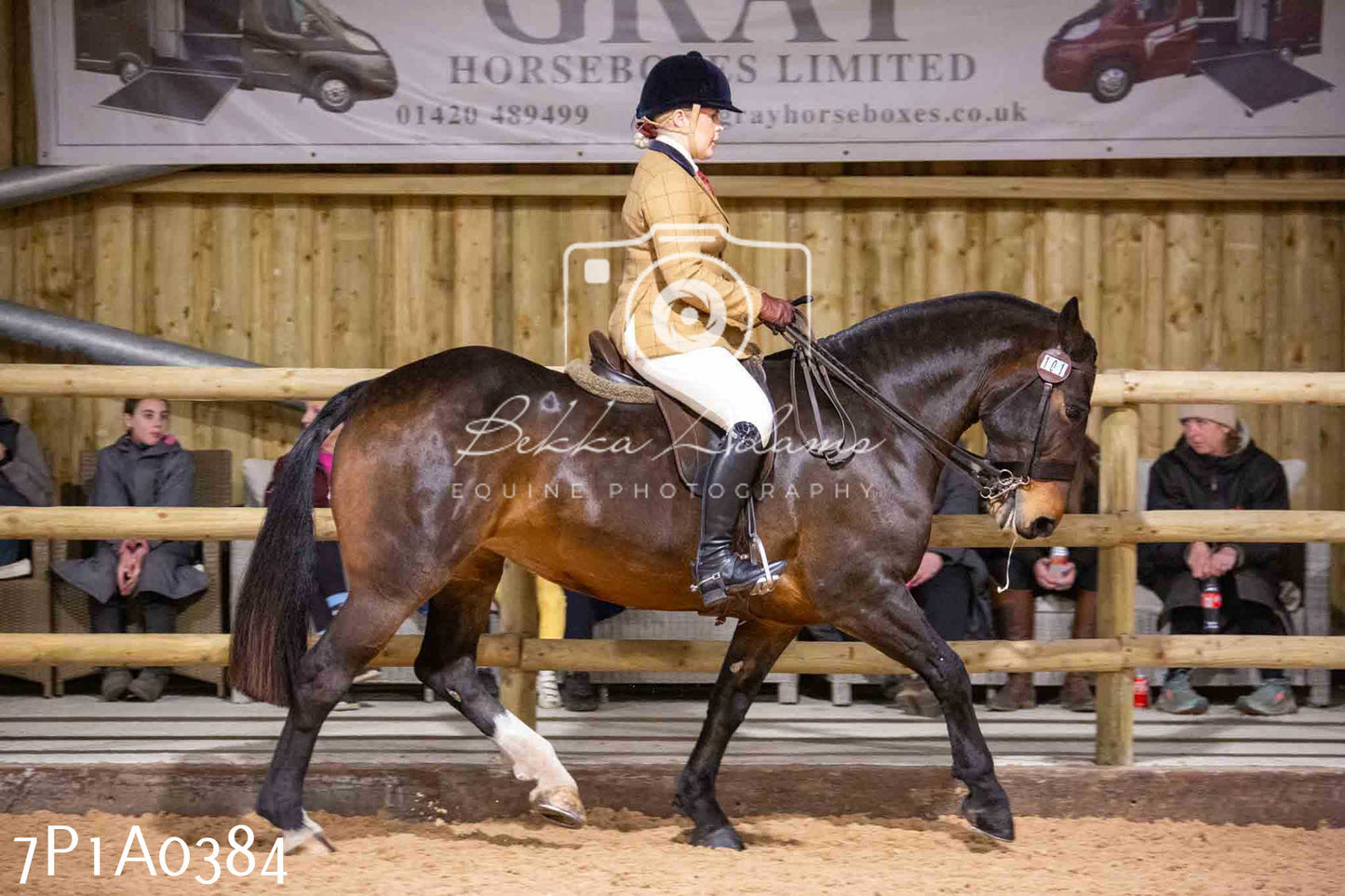 Home Farm Spring Show - Ridden Showing 24th March 2024 - Part 1