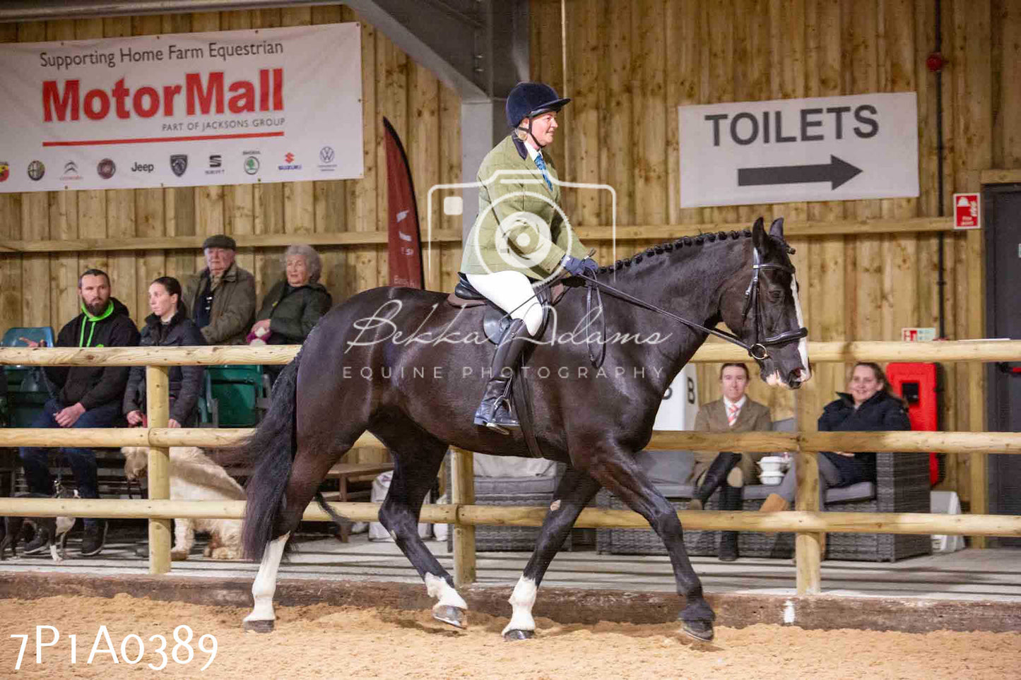 Home Farm Spring Show - Ridden Showing 24th March 2024 - Part 1