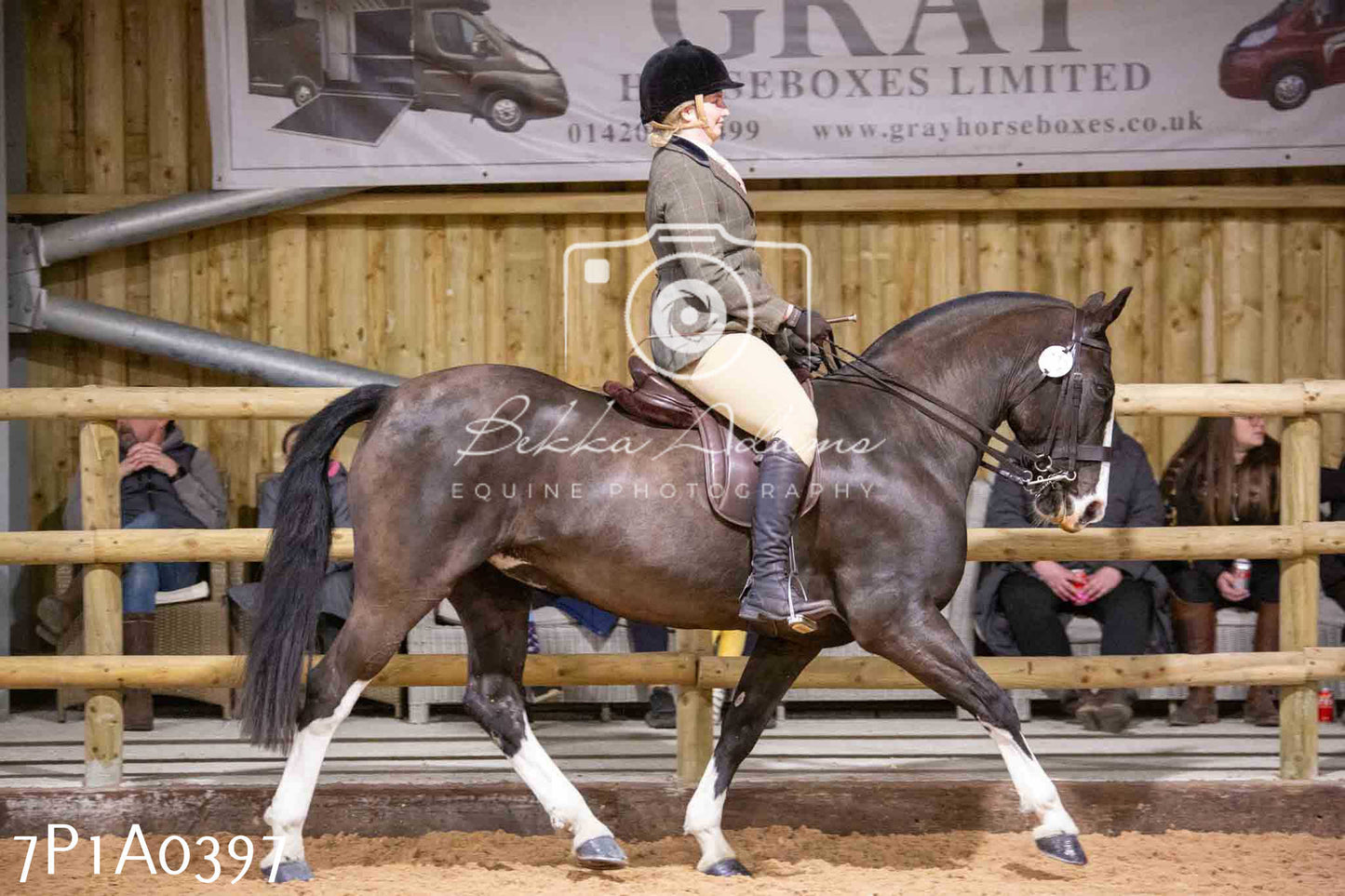 Home Farm Spring Show - Ridden Showing 24th March 2024 - Part 1