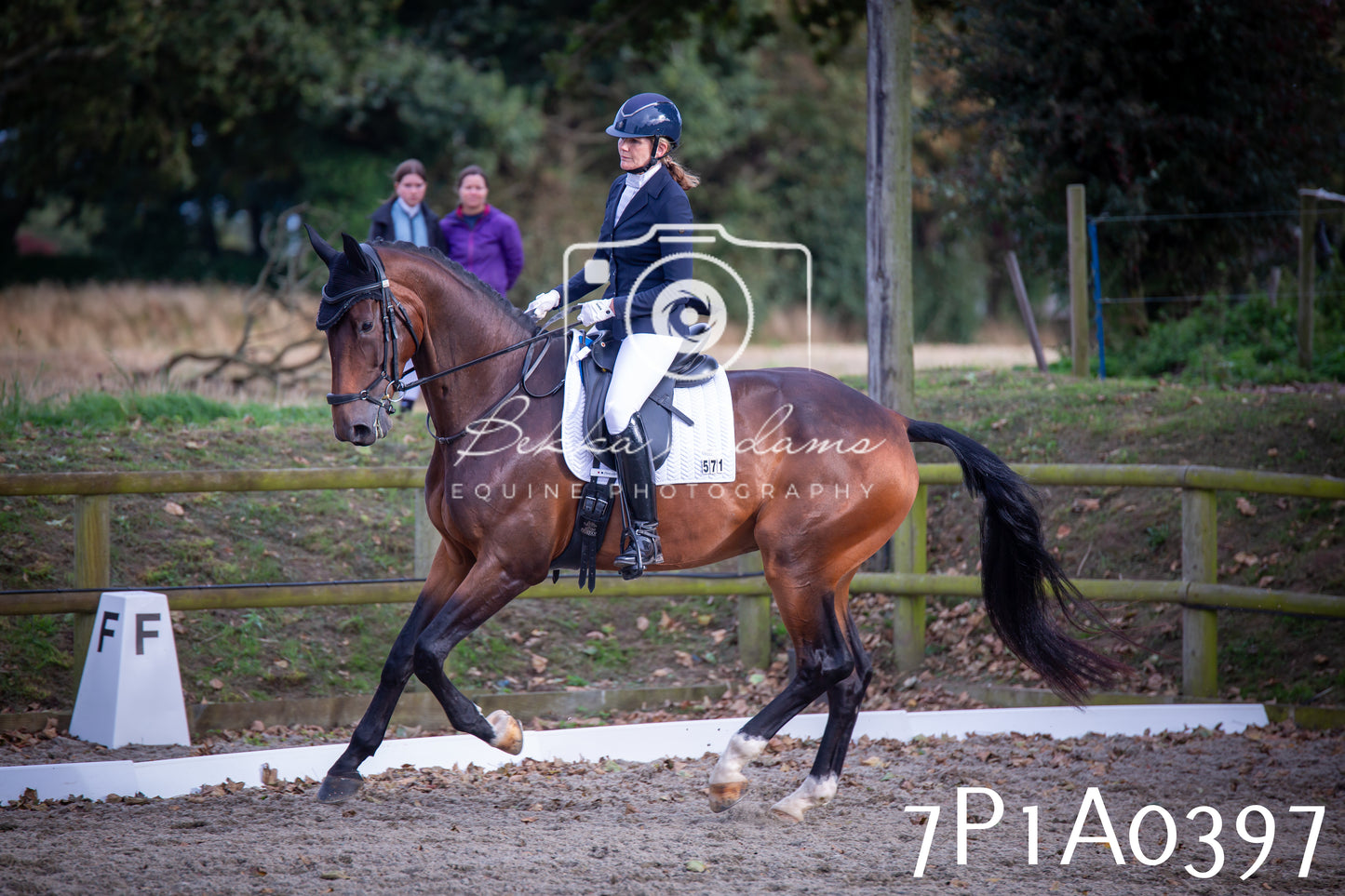 JHOYS 2025 - Dressage - 13th September