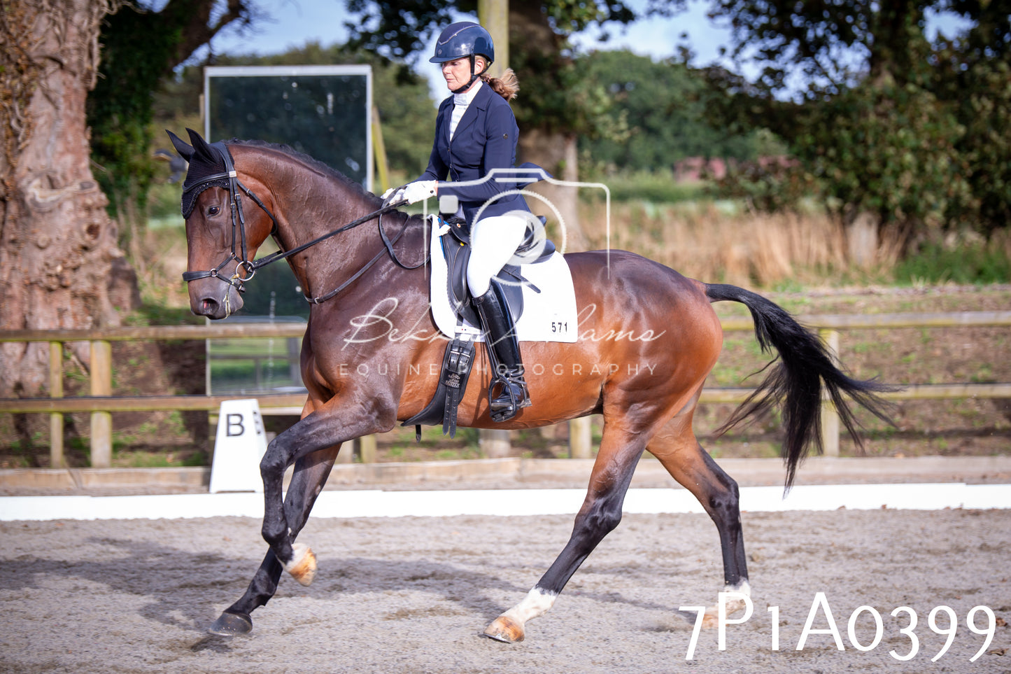 JHOYS 2025 - Dressage - 13th September
