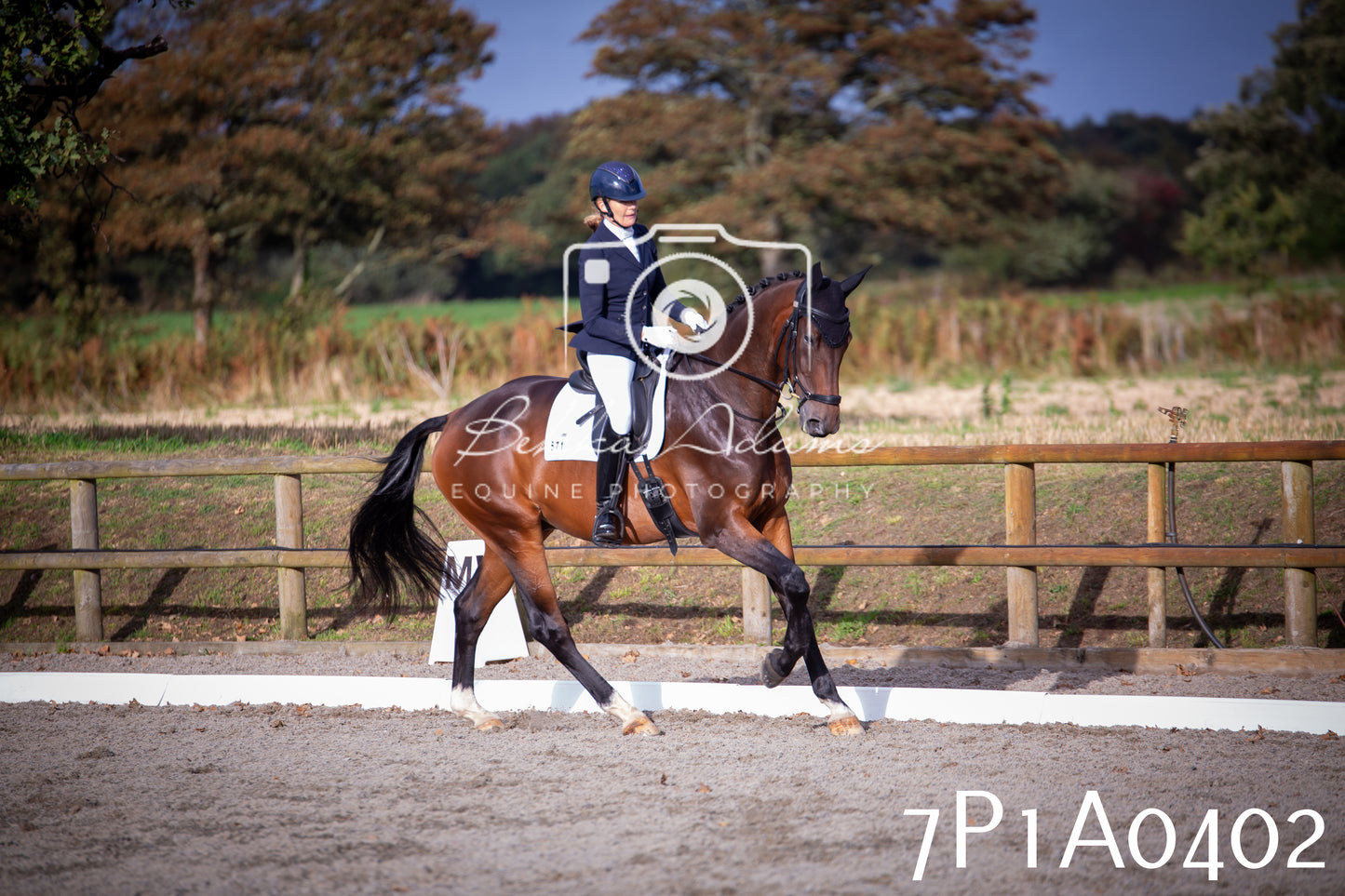 JHOYS 2025 - Dressage - 13th September