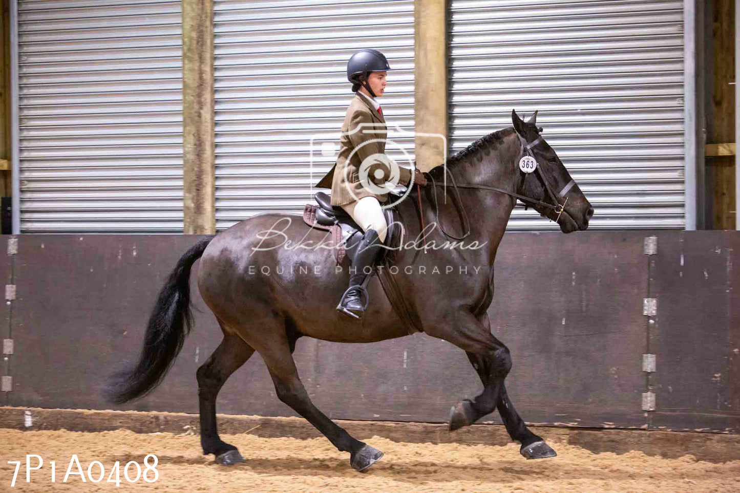 Home Farm Spring Show - Ridden Showing 24th March 2024 - Part 1