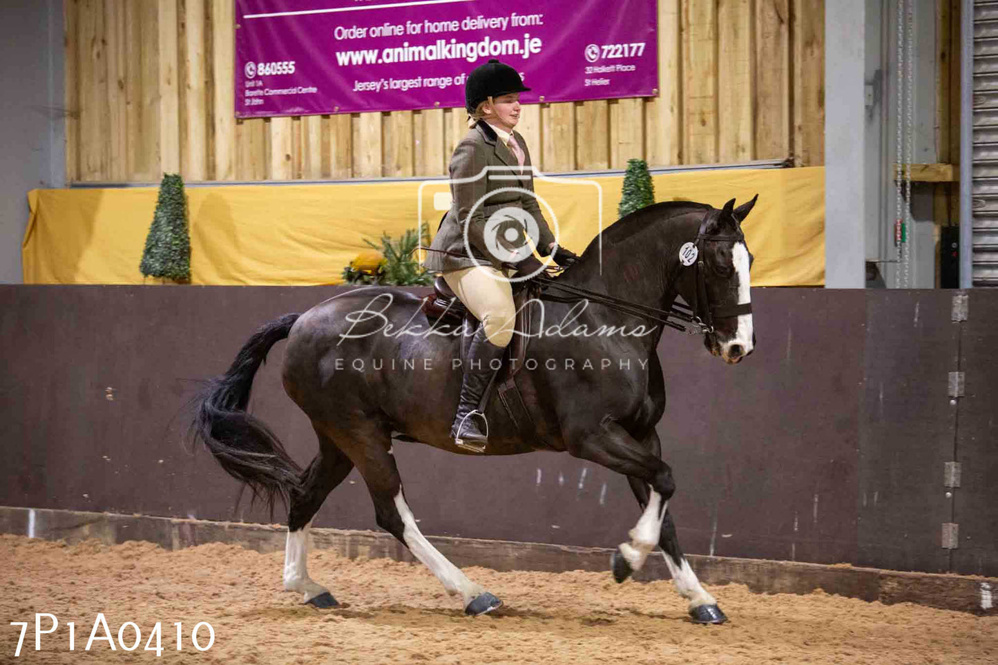 Home Farm Spring Show - Ridden Showing 24th March 2024 - Part 1