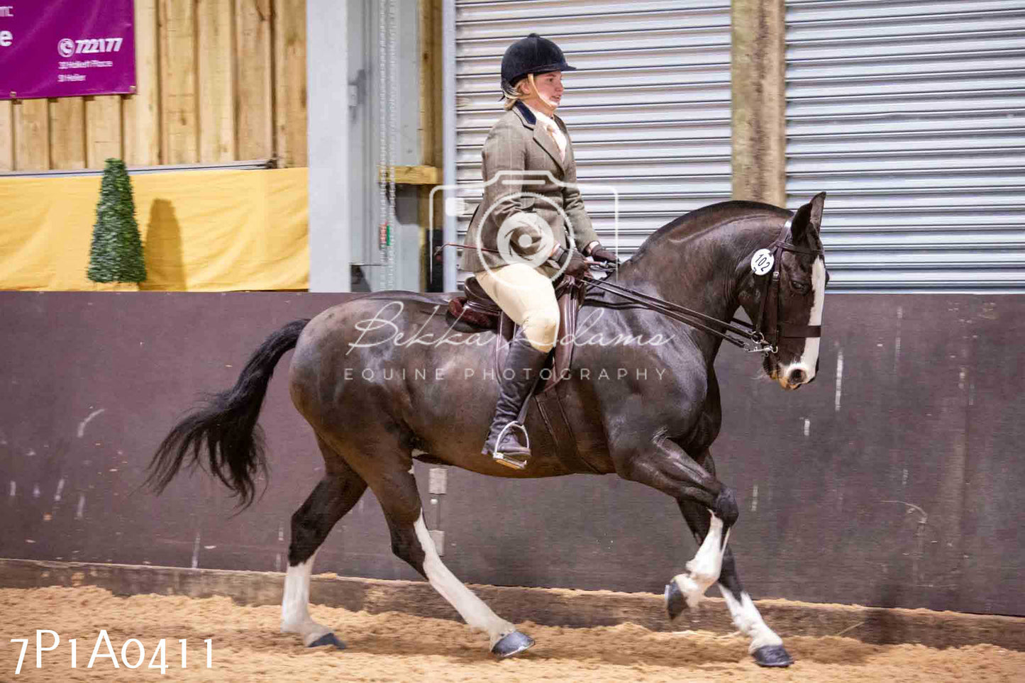 Home Farm Spring Show - Ridden Showing 24th March 2024 - Part 1