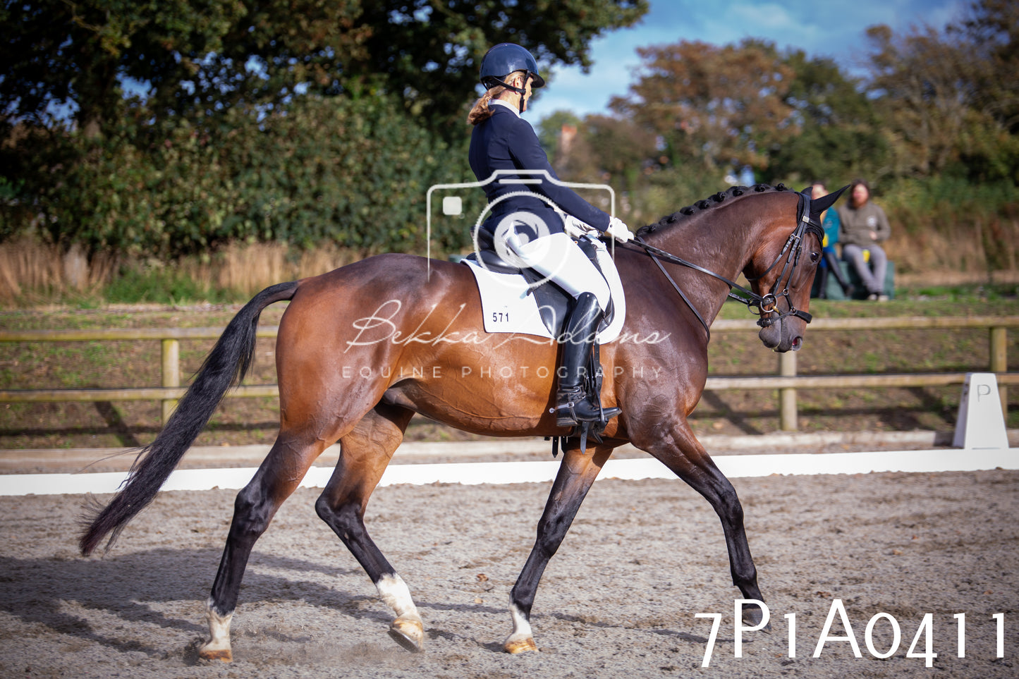JHOYS 2025 - Dressage - 13th September
