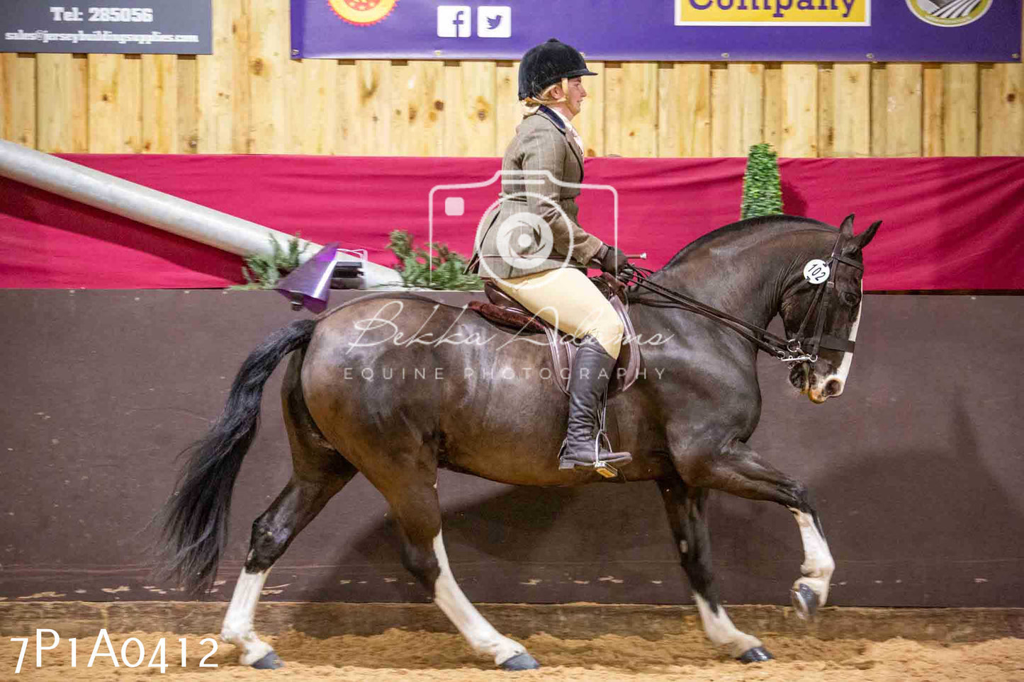 Home Farm Spring Show - Ridden Showing 24th March 2024 - Part 1