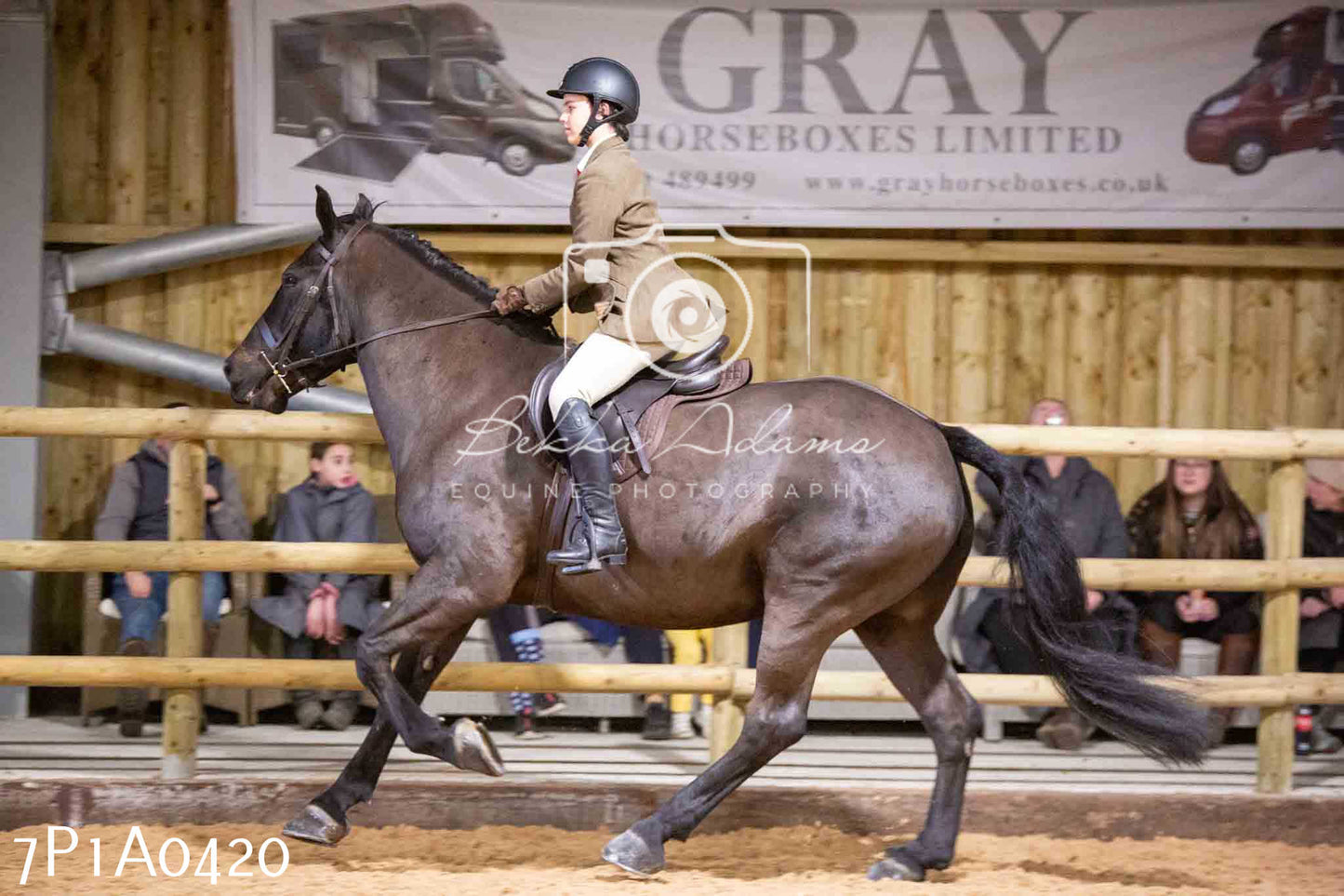 Home Farm Spring Show - Ridden Showing 24th March 2024 - Part 1