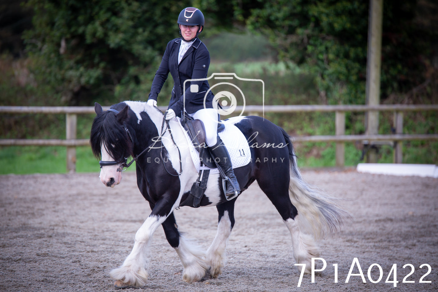 JHOYS 2025 - Dressage - 13th September