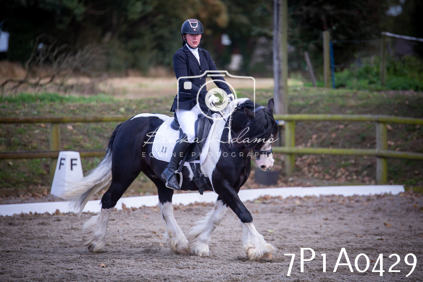 JHOYS 2025 - Dressage - 13th September