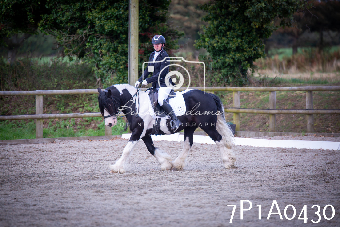 JHOYS 2025 - Dressage - 13th September