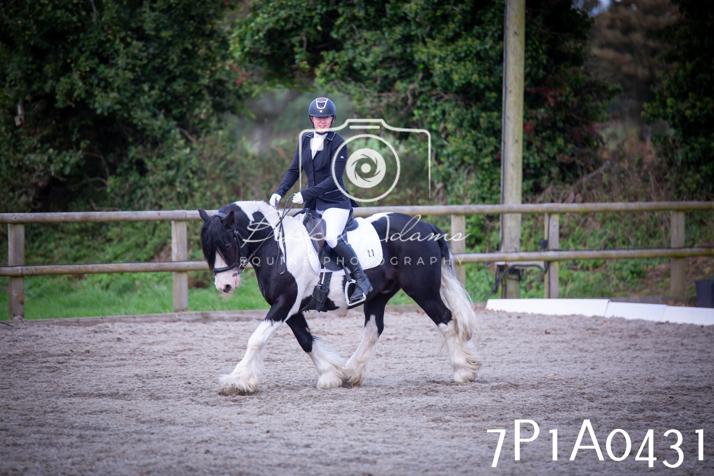 JHOYS 2025 - Dressage - 13th September