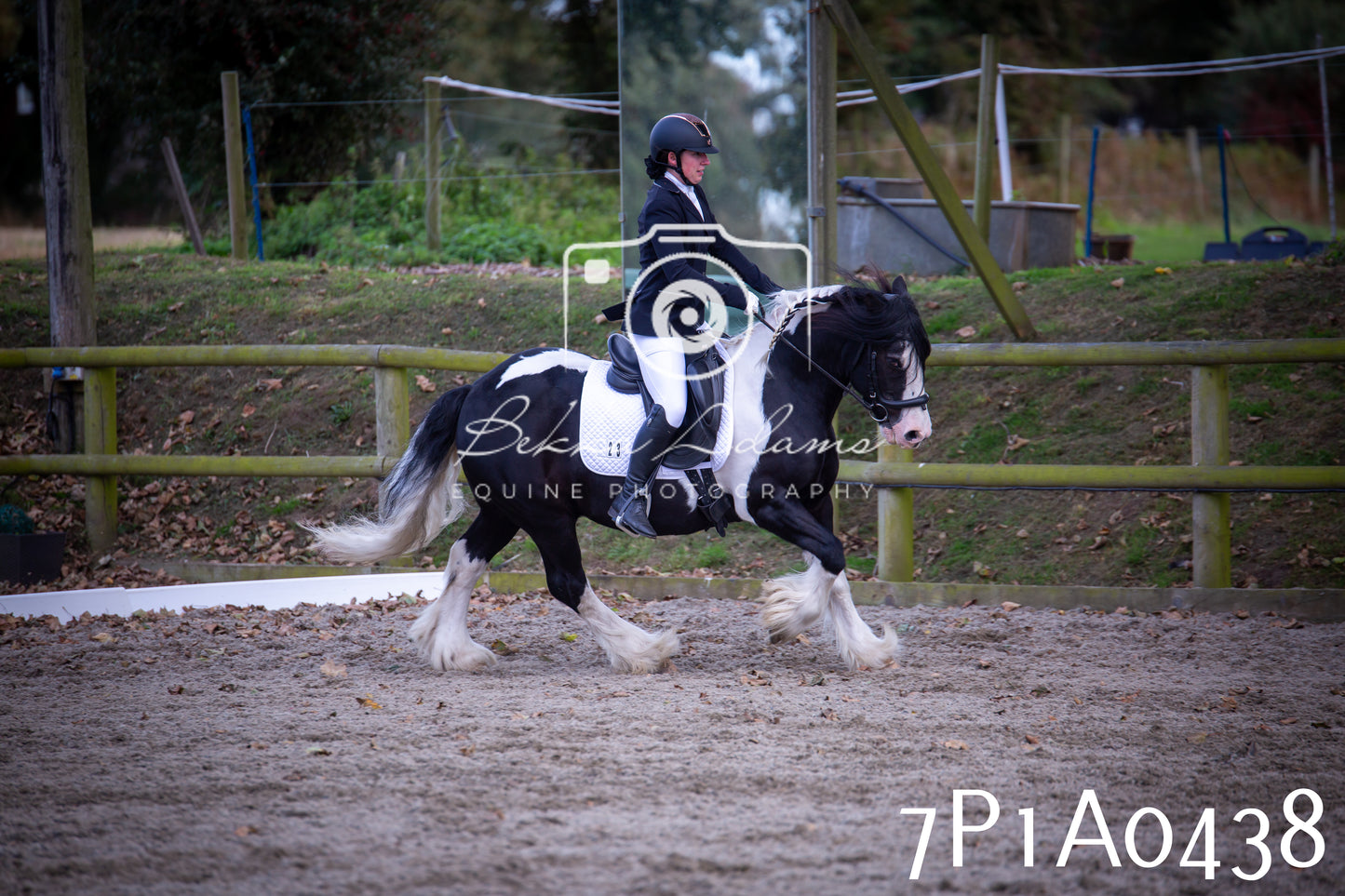 JHOYS 2025 - Dressage - 13th September