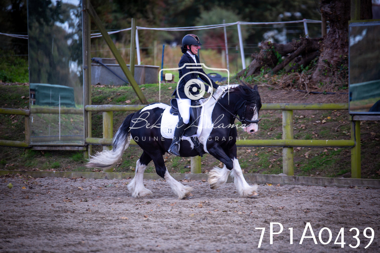 JHOYS 2025 - Dressage - 13th September