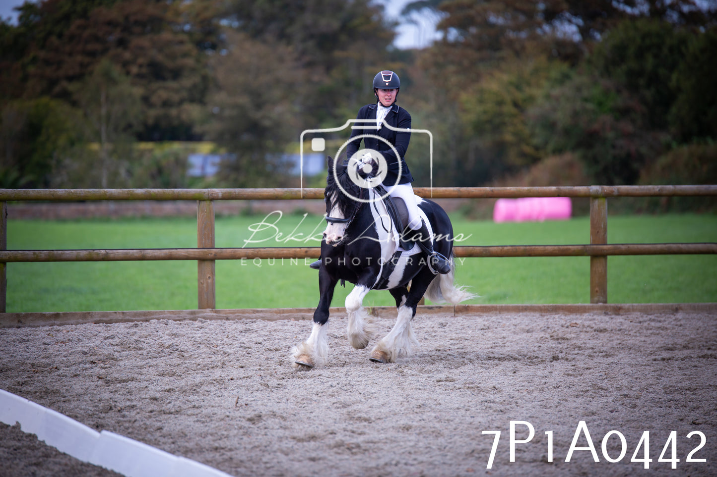 JHOYS 2025 - Dressage - 13th September