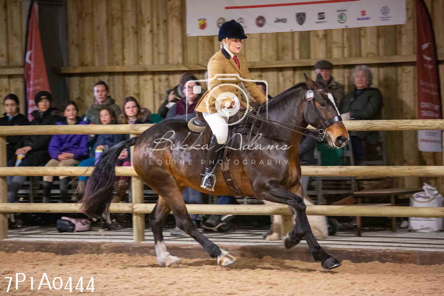 Home Farm Spring Show - Ridden Showing 24th March 2024 - Part 1