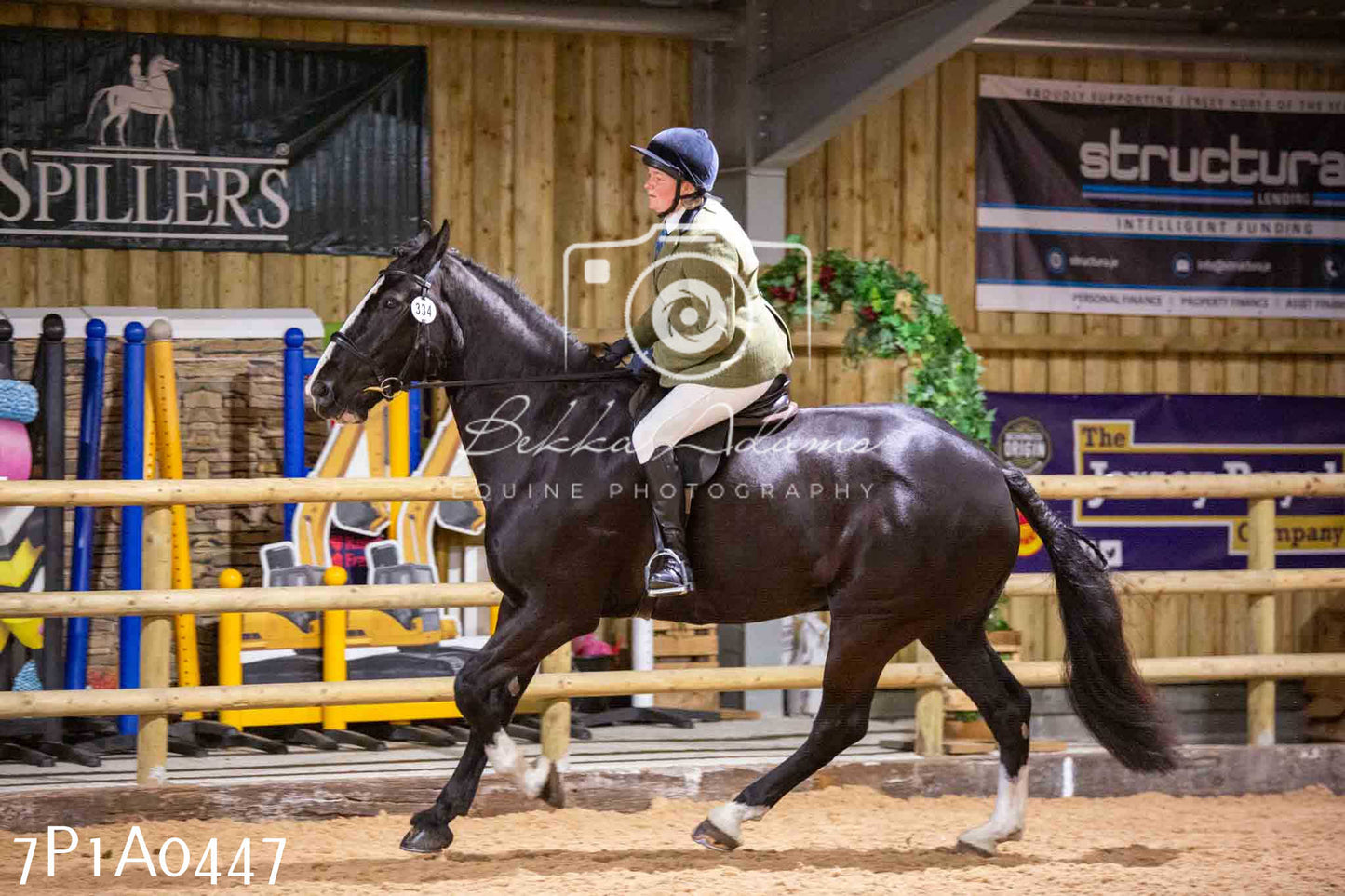 Home Farm Spring Show - Ridden Showing 24th March 2024 - Part 2