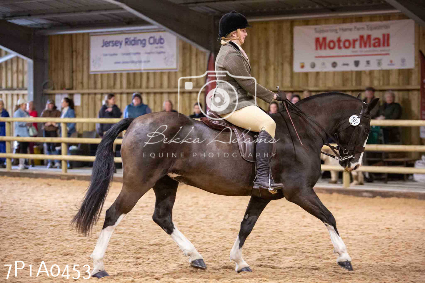 Home Farm Spring Show - Ridden Showing 24th March 2024 - Part 2