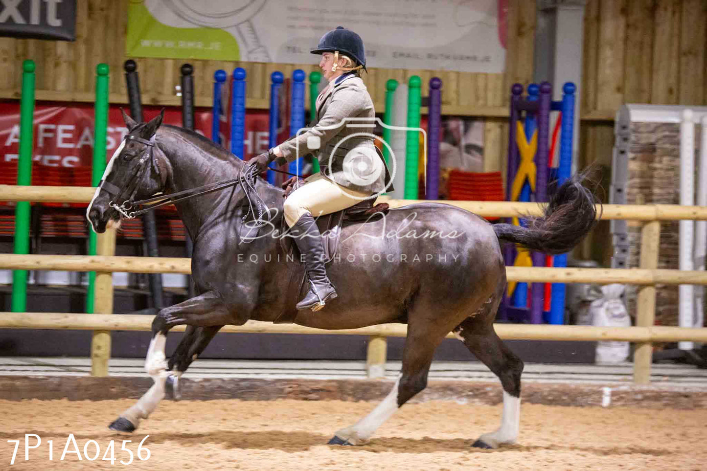 Home Farm Spring Show - Ridden Showing 24th March 2024 - Part 2