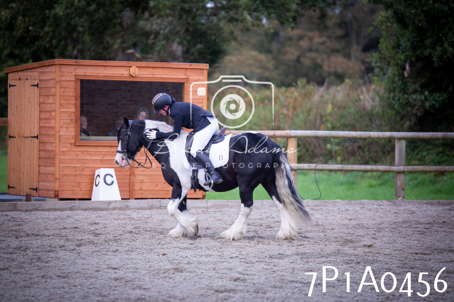 JHOYS 2025 - Dressage - 13th September