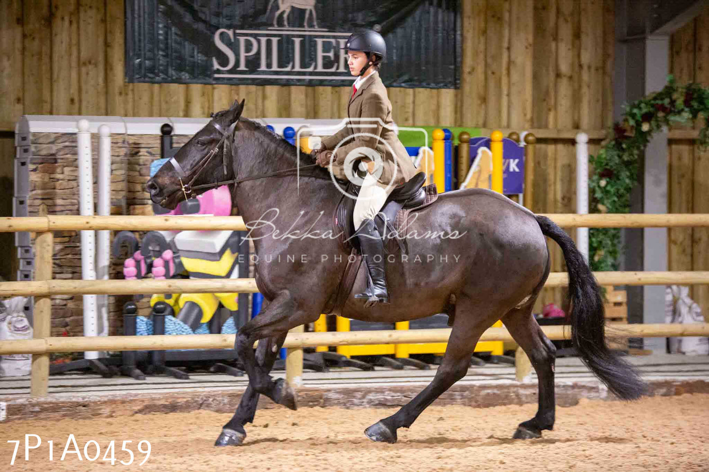 Home Farm Spring Show - Ridden Showing 24th March 2024 - Part 2