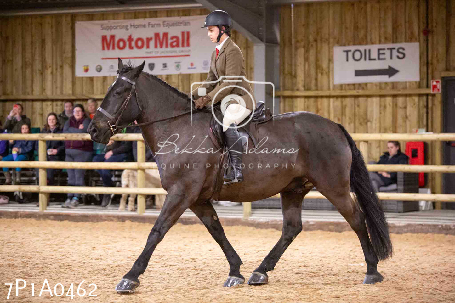 Home Farm Spring Show - Ridden Showing 24th March 2024 - Part 2