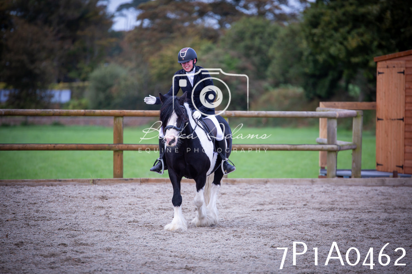 JHOYS 2025 - Dressage - 13th September