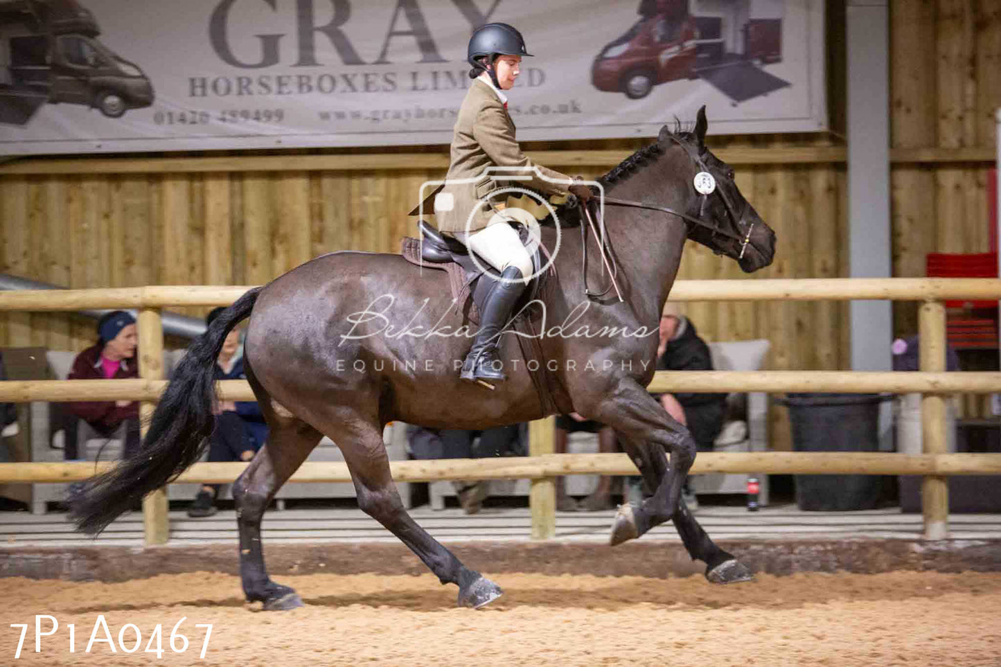 Home Farm Spring Show - Ridden Showing 24th March 2024 - Part 2