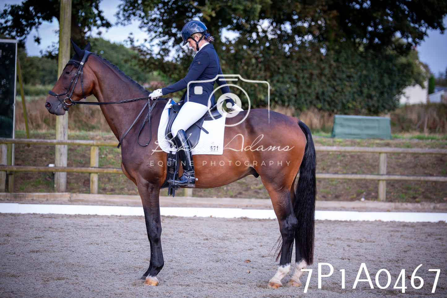 JHOYS 2025 - Dressage - 13th September