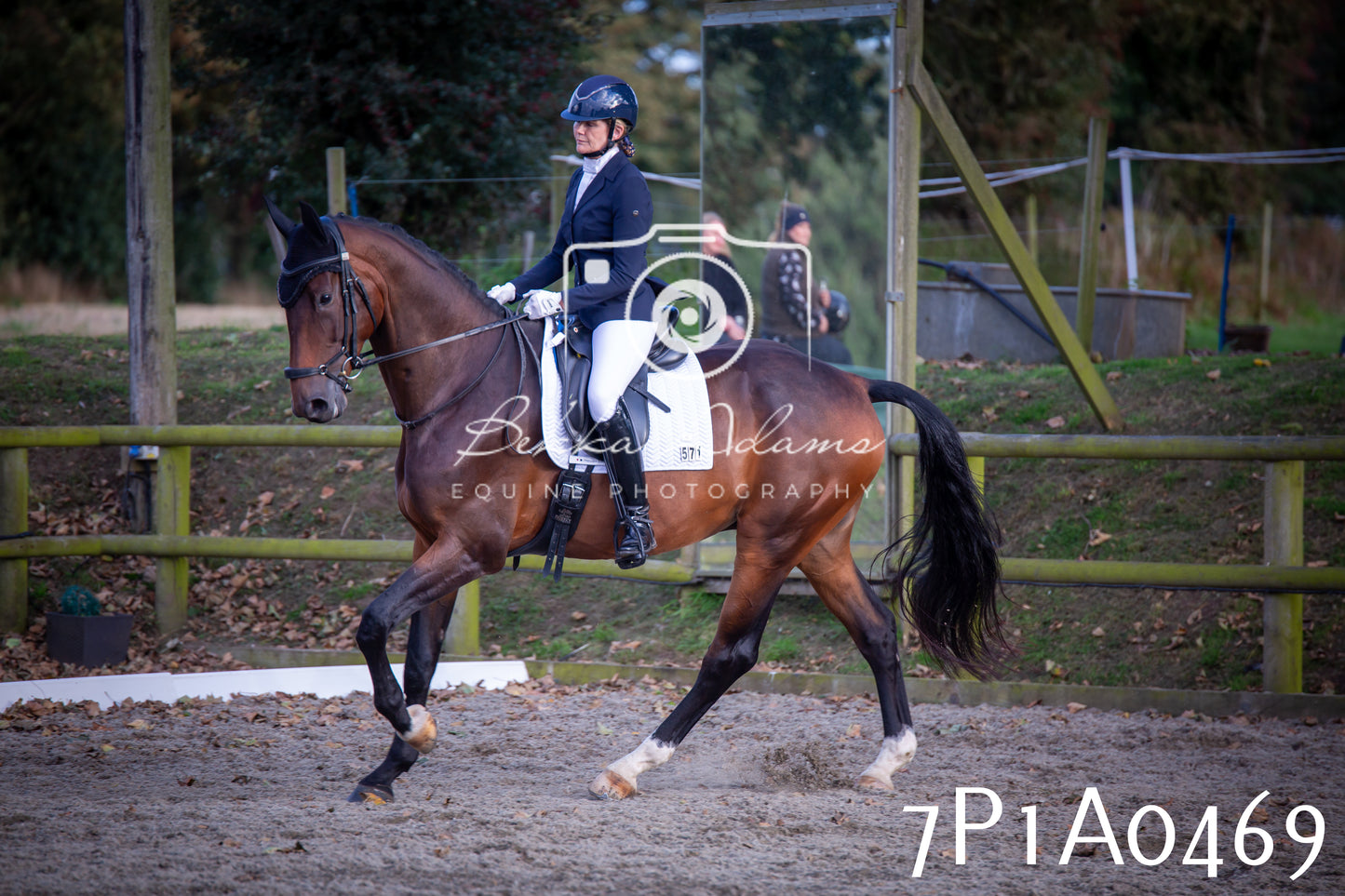 JHOYS 2025 - Dressage - 13th September