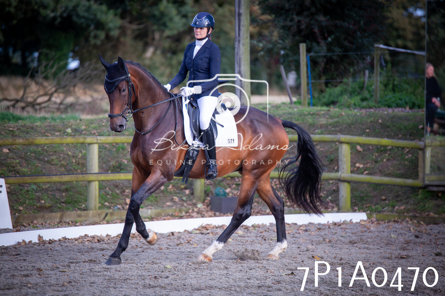 JHOYS 2025 - Dressage - 13th September