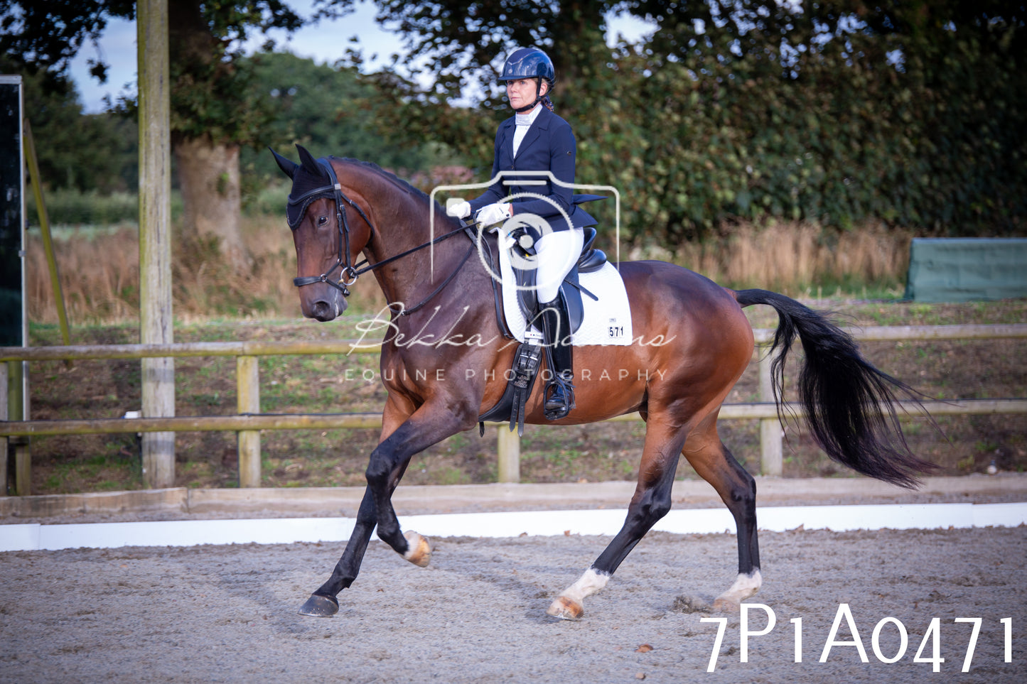 JHOYS 2025 - Dressage - 13th September