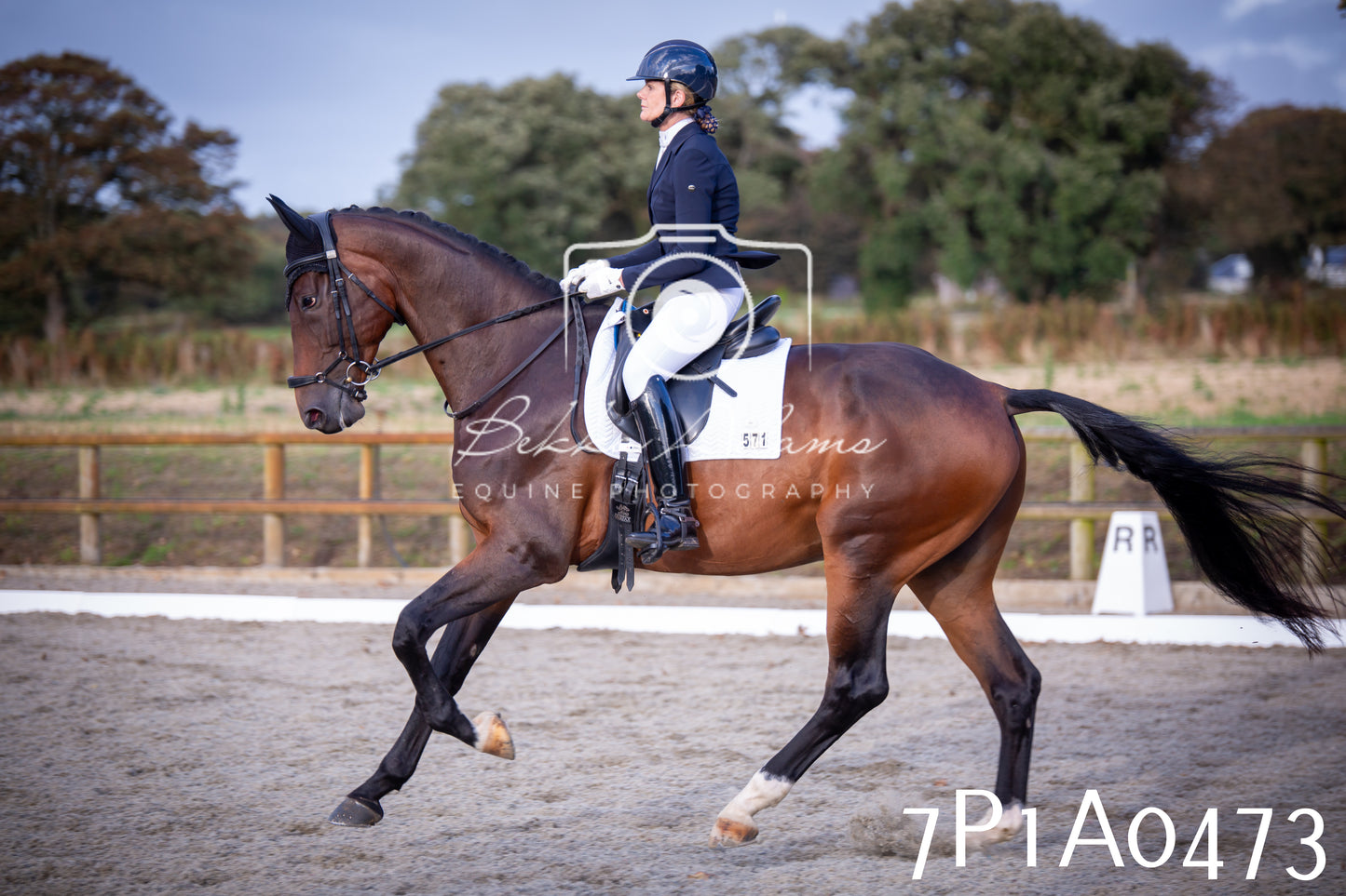 JHOYS 2025 - Dressage - 13th September