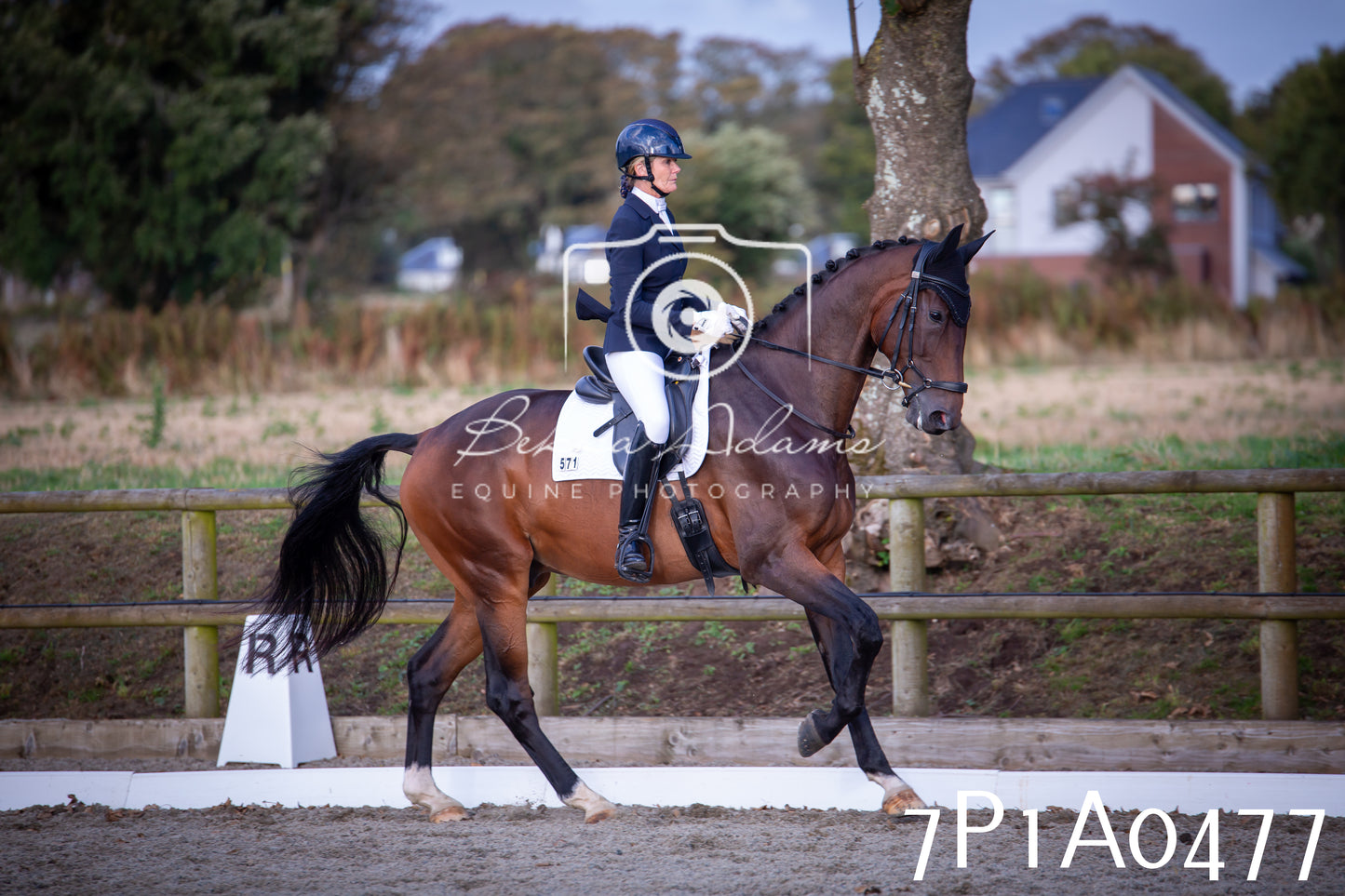 JHOYS 2025 - Dressage - 13th September