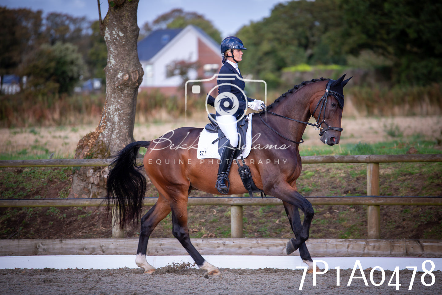 JHOYS 2025 - Dressage - 13th September